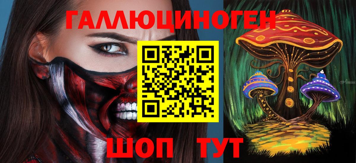 Артём  Псилоцибиновые грибы Magic Shrooms  Вход с VPN  Галлюциногенные грибы мухоморы 